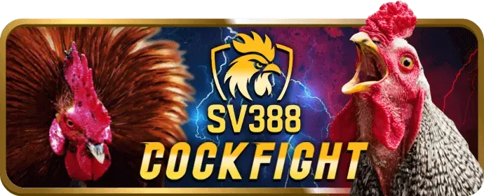 Bảo vệ dữ liệu ne88 casino